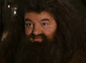 Hagrid comforting hermione