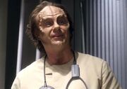 Phlox, 2151