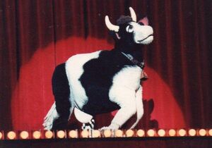 Cow
