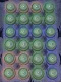 Bodtreesolution4
