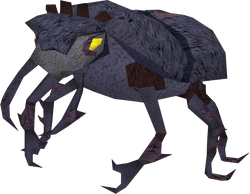 Giant scarab