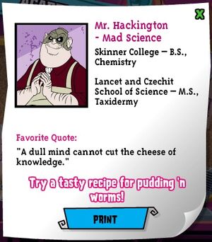 Website - Hackington
