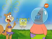 Arenita y patricio