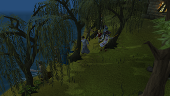 DraynorWillowTrees