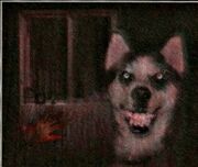 222px-Smiledog enhanced