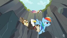 Rainbow Dash pets cliff S2E07