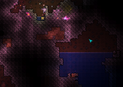Starcloakreveal