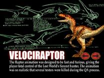 Tlwjpg3raptor008