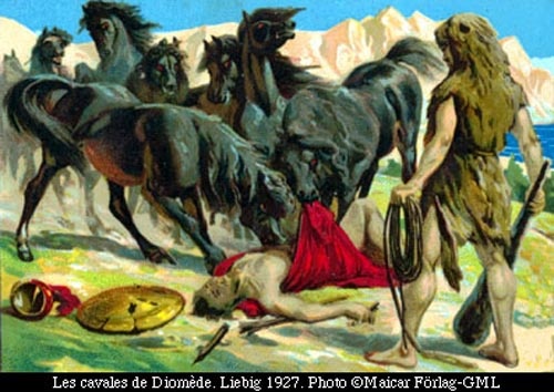 http://img4.wikia.nocookie.net/__cb20120127171401/warriorsofmyth/images/6/6b/Heracles_Herakles_Horses_Man_Eating_Maneating_Man-Eating_Stallions_Stallion_Equines_Equine_Mares_of_Diomedes_Labors-1-.jpg