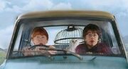 HarryRonFlyingCar