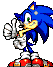 SonicMediumAni.gif
