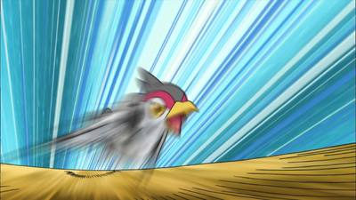 Trip Tranquill Aerial Ace