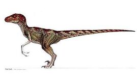 Raptorsw10