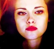 Bella BD2