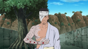 Danzo's arm