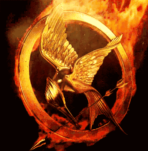 Mockingjay on fire
