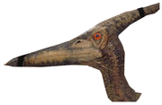 Dactyl