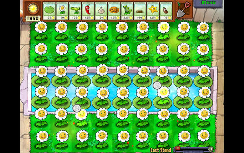 Marigold - Plants Vs. Zombies Wiki - Wikia