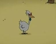 Rhechicken