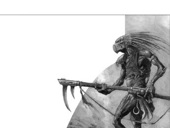 Kroot2