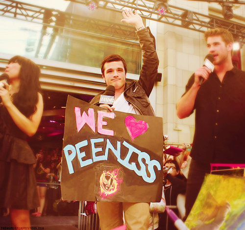 Bild Peeniss The Hunger Game S Katniss And Peeta S
