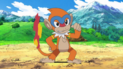 Ash Monferno