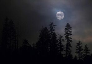 Foggymoon1