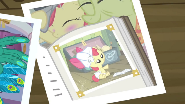 http://img4.wikia.nocookie.net/__cb20120403104730/mlp/images/thumb/e/ee/Embarrassing_Apple_Bloom_foal_photo_S2E23.png/640px-Embarrassing_Apple_Bloom_foal_photo_S2E23.png