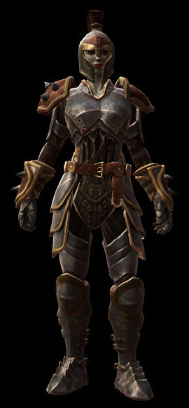 The guardian armor set female