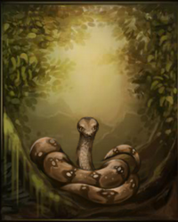 Boa constrictor