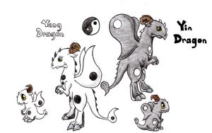 Yin-Yang Dragon2