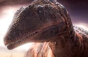 Carcharodontosaurus