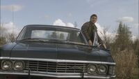 SPN 0879