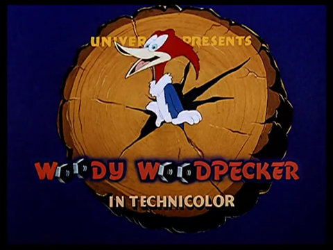 woody woodpecker 1949