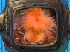 Anemoni