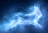 Patronus Hare