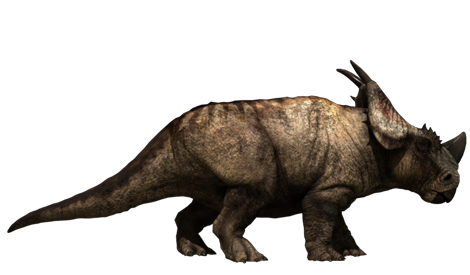 safari pachyrhinosaurus