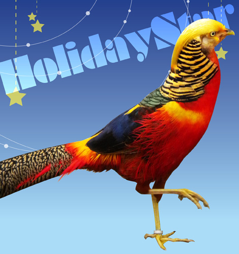 hatoful boyfriend demo hatoful boyfriend demo