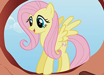 Fluttershy characters.png