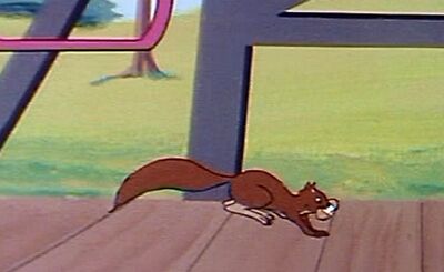 Squirrel