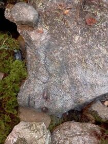 Peeta disguised as a rock