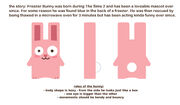 Histoire et règles du Lapin rose