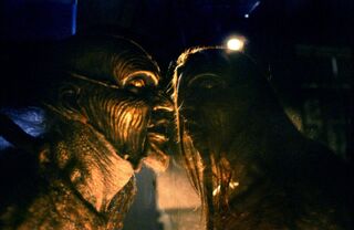 Jeepers-creepers-2001-21-g