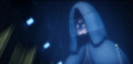 Palp