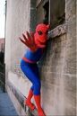 Peter Parker (Earth-730911) from The Amazing Spider-Man (TV series) 0001.jpg