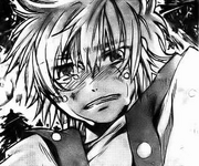 Regulus niño