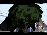 Cat Street
