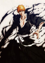 Kurosaki.Ichigo.full.760523