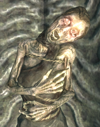 250px-NightMother Skyrim