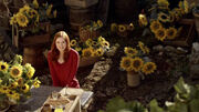AmySunflowers